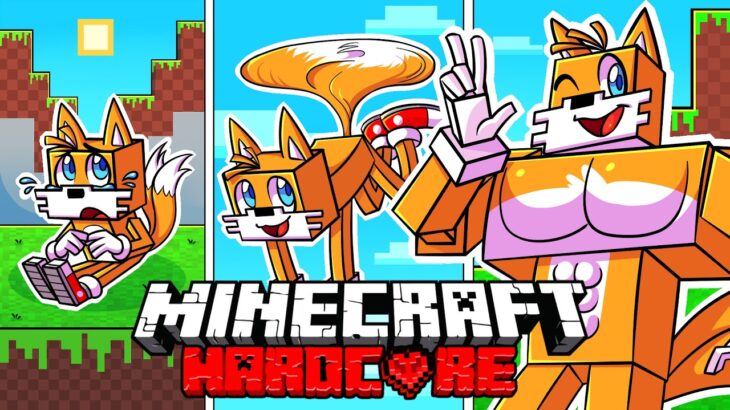 I Survived 1000 DAYS as TAILS in HARDCORE Minecraft! – Amazing Quests Compilation