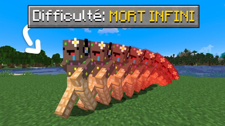 Je dois mourir 1.000.000 de fois pour finir Minecraft..