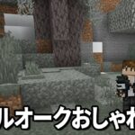 【マイクラ生配信】ペールオークを使ってカッコいい内装を作る【Mさば】