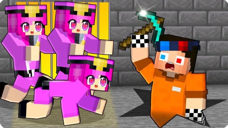 👮‍♀️ПОБЕГ ИЗ ТЮРЬМЫ ДЕВУШЕК В МАЙНКРАФТ! ШЕДИ MINECRAFT