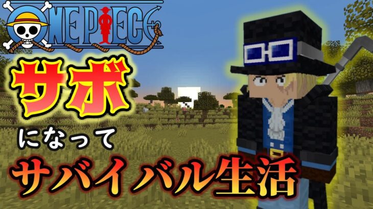 エース！貰うぞお前の技 #１　【マインクラフト】【ワンピースMOD】【黄猿でサバイバル生活】