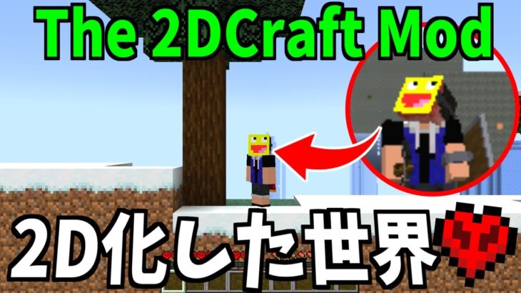 【神MOD】マイクラ世界を全て2D化する『The 2DCraft Mod』が革命すぎた!!-マインクラフト【Minecraft】【The 2DCraft Mod】