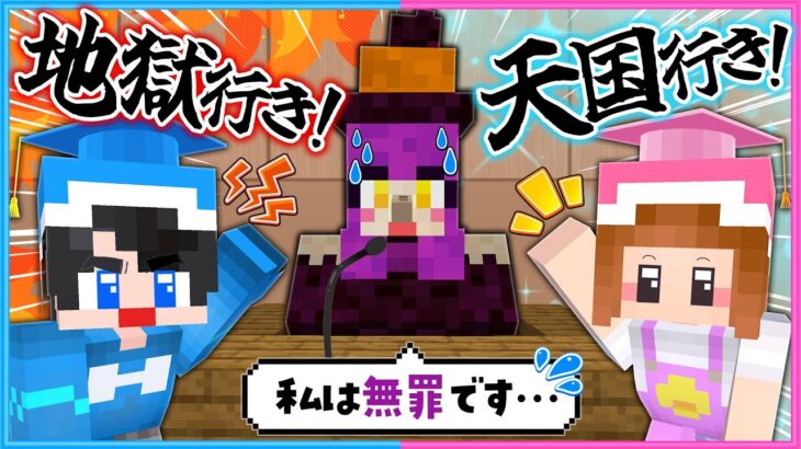 「天国」か「地獄」か、この人の命を私たちが決めましょう😈👼【 マイクラ / Minecraft  】