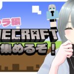 【Minecraft】チョコクッキー屋さん開きたいから、まずは家建てる！！【まったりマイクラ鯖】