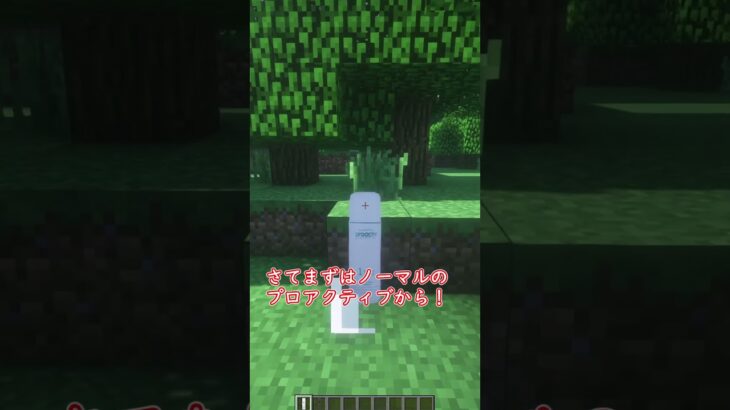 懐かしのプロアクティブ！[Minecraft]