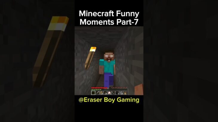 Minecraft Funny Moments Part-7 #indiangamer #hindigameplay #minecraftfunny #funny