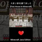 マイクラで初めての家 [Minecraft Java Edition] #minecraft #java版マイクラ #マイクラ