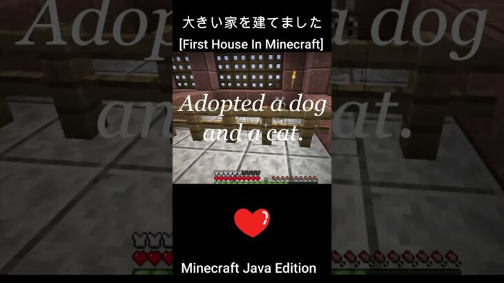 マイクラで初めての家 [Minecraft Java Edition] #minecraft #java版マイクラ #マイクラ