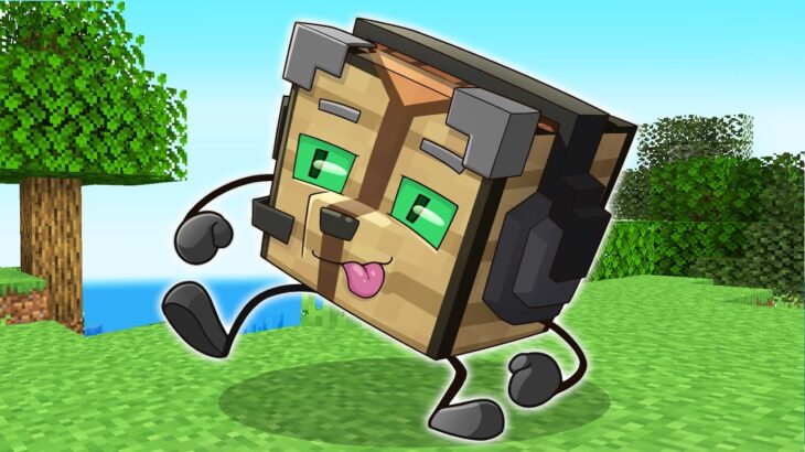 Minecraft Pero Soy TODOS los BLOQUES!