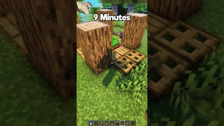 Minecraft Rabbit TRAP at Different Times (Sigma Boy) #minecraft #shorts