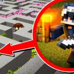 Minecraft, aber die WELT ist ein LABYRINTH…