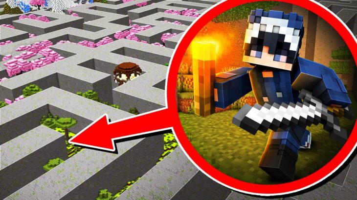 Minecraft, aber die WELT ist ein LABYRINTH…