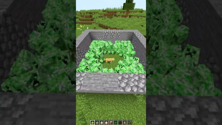 Minecraft mob test