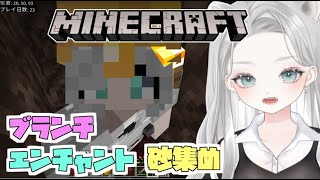 【#Minecraft】エンチャントしたり15の高さまでネザーブランチしたり村を囲むための砂集めがしたいかな【真白ゆゆ  #ゲーム実況  ＃マイクラ ハードコア 】