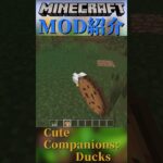 【Minecraft】かわいいアヒルをペットに出来る！MOD『Cute Companions: Ducks』【MOD紹介】#shorts #ゆっくり紹介