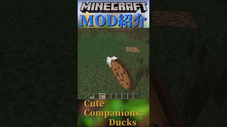 【Minecraft】かわいいアヒルをペットに出来る！MOD『Cute Companions: Ducks』【MOD紹介】#shorts #ゆっくり紹介