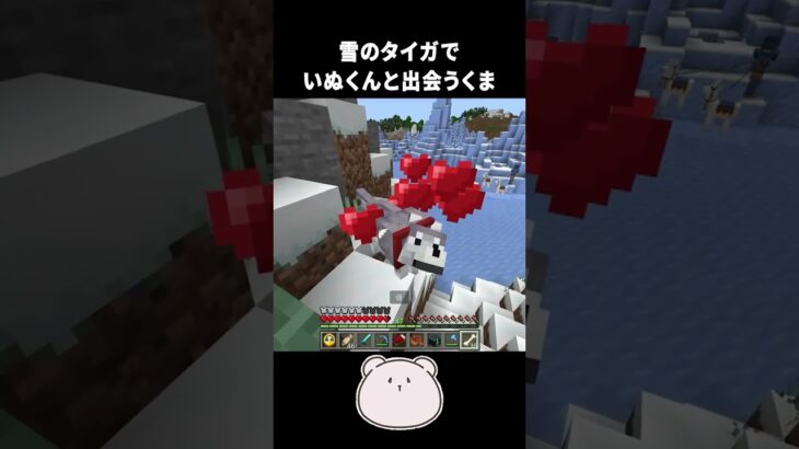 雪のタイガのいぬくんとの出会い！【Minecraft】【#Shorts】 #マイクラ #minecraft #マインクラフト #オオカミ