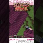 【Minecraft】渾身の建築、失敗【まいくら・マインクラフト】#minecraft #マイクラ #まいくら