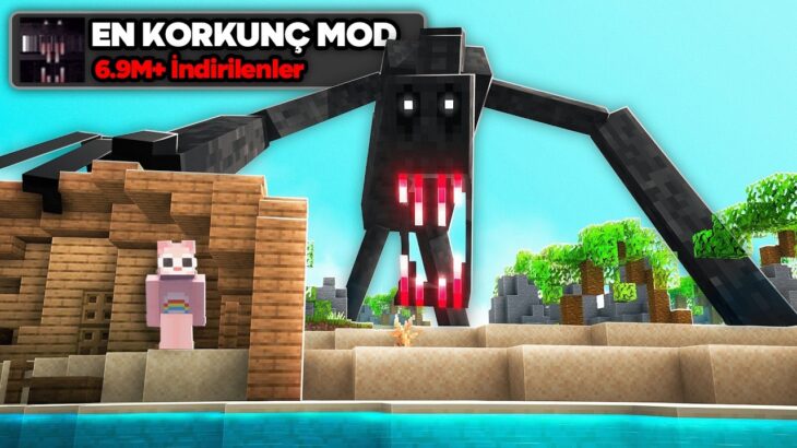 Minecraft’ta EN KORKUNÇ MODLARI Test Ettim… 2