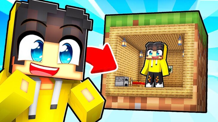 Neden 1 Bloğun İçine Minik Gizli Bir Base Yaptım? | Minecraft