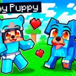 Playing as a BABY PUPPY in Minecraft!