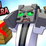 ¿Qué Pasaría si MADERA NO EXISTIERA en Minecraft?