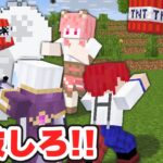 【マイクラ】敵ゴールを爆破させる大会で『卍最強ボンバーズ卍』無双します！！【TNTスマッシュ】