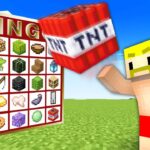 TNTしか使えない世界でビンゴ勝負！【マイクラ】