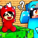 TOYS Hide and Seek in Minecraft!