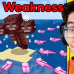 Testing Minecraft Mob Weaknesses To See If They Work!