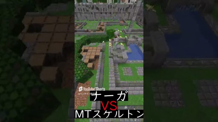 ナーガVSミュータントスケルトン【マイクラ】