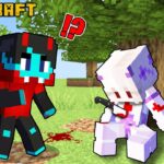 Who KILLED SHEYYYN in Minecraft?!