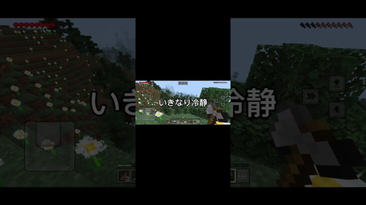 #minecraft実況 #マインクラフト #マイクラ #minecraft #ゲーム実況 #ゲーム 家も探せず、大事な砦が壊されそうになる男