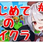 【マイクラ】初めてのマインクラフト！家広げるか冒険行くか迷 part13【十織 Vtuber 】#深夜配信 #vtuber #マイクラ #マインクラフト #Minecraft