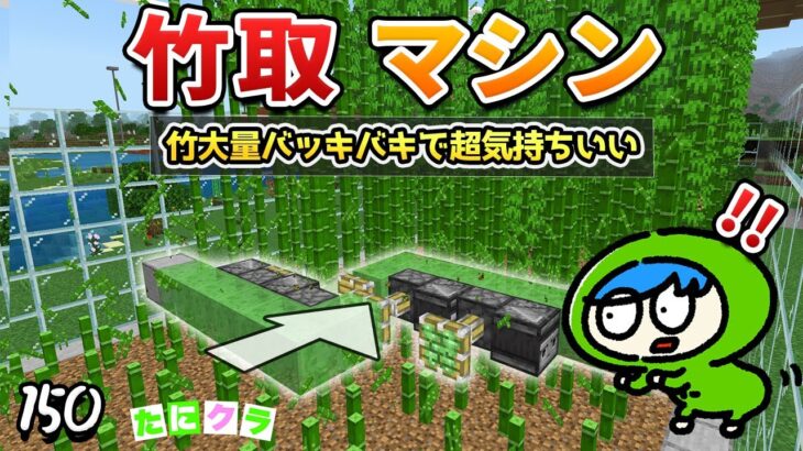 【快感】竹をバッキバキに折り進む竹取マシンが気持ちよすぎる…！part150【たにクラ】統合版 ver1.21.50