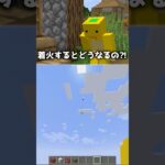 part3 これ本当???🤔🤔🤔【まいくら・マイクラ】 #shorts #minecraft