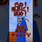 階段登り切るまで息止めチャレンジ！ #shorts #マイクラ #マインクラフト