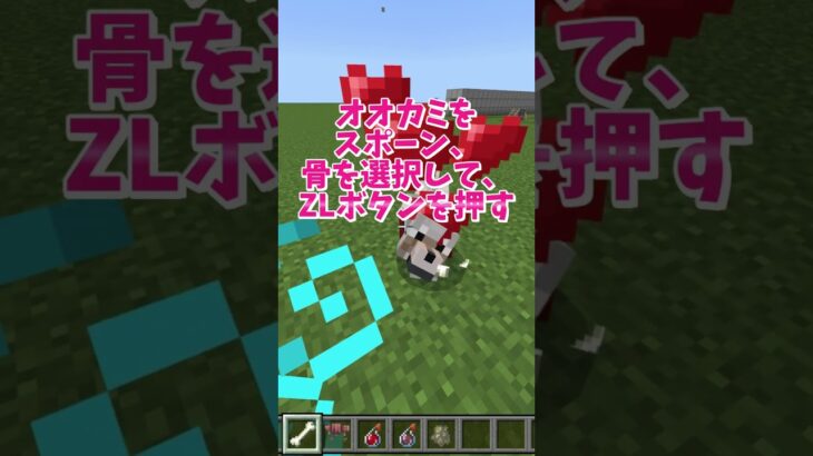 【マイクラ】初心者必見！オオカミの手なづけ方 #いるクラ #マイクラ #shorts