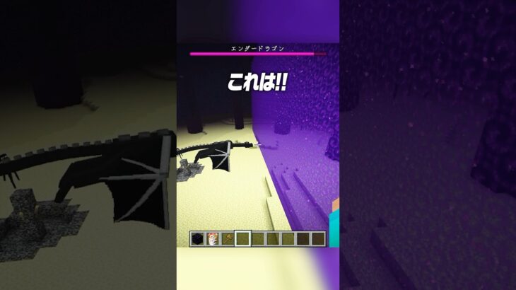 エンドラってネザーに行けるの？？🤔【まいくら・マインクラフト】#shorts #らた #minecraft #ゲーム実況 #まいくら #マイクラ