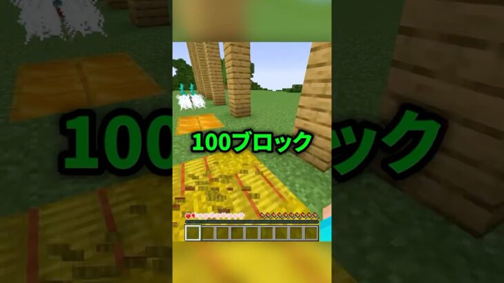 落下ダメージの違い🔥【まいくら・マインクラフト】#shorts #らた #minecraft #ゲーム実況 #まいくら #マイクラ