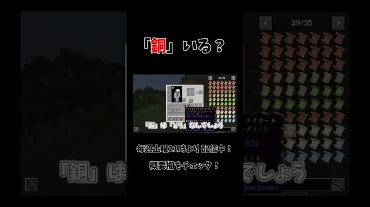 「銅」いる？  #shorts  #ライブ配信 #らふたー  #マイクラmod  #mod  #マイクラ配信    #マインクラフト  #minecraft   #マイクラ