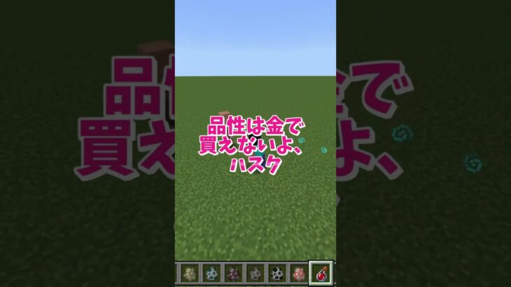 【マイクラ】コマンド利用で高速移動する方法 #いるクラ #マイクラ