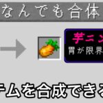 【マイクラ】アイテム同士を合体させ最強にできる世界がなんでもありすぎる.. 〜色々なアイテム同士を混ぜられる世界で検証&エンドラ討伐した結果〜【マインクラフト】【まいくら】【雑学】