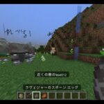 モブにレベル制度を付けた！「マインクラフト」