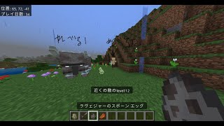 モブにレベル制度を付けた！「マインクラフト」