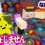 存在しないブロックが追加されてたらおかんは気付ける？【まいくら / マインクラフト】