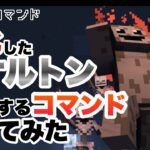 【マイクラコマンド】 強化されたスケルトンを追加するコマンド作ってみた 【マインクラフト 統合版 コマンド】