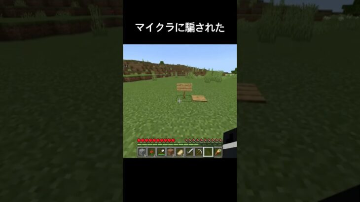 お金じゃなくて… #マイクラ #ネタ