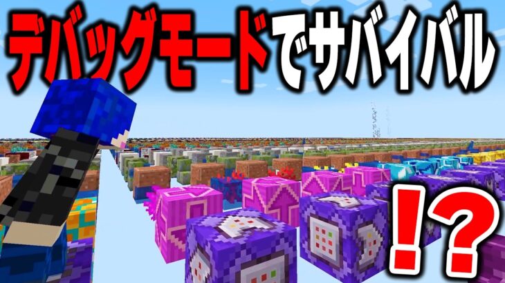 マイクラの隠しワールドタイプ「デバッグモード」でエンドラ討伐してみた【まいくら・マインクラフト】