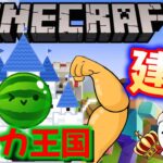 リスナーとスイカ王国建築する！！【マインクラフト】